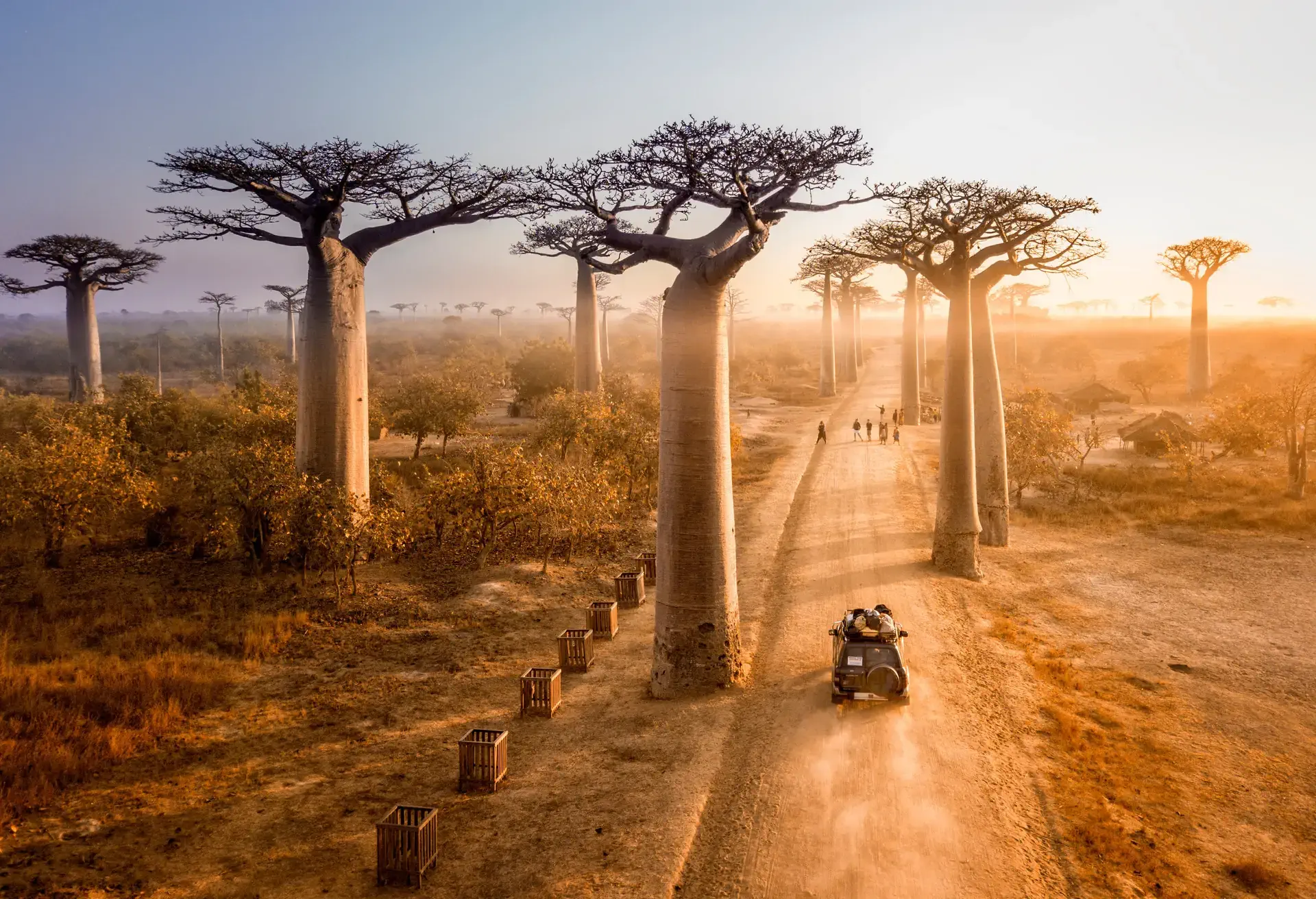 Enlacez un baobab sur l’Avenue des Baobabs à Morondava