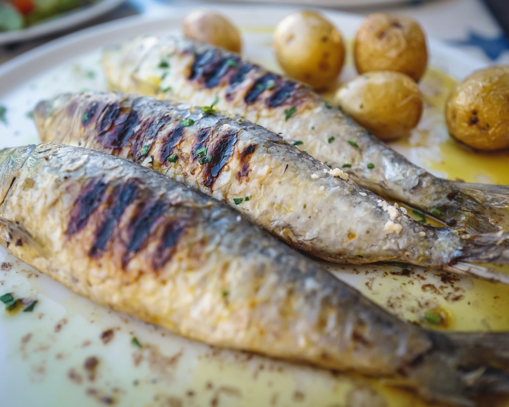 20 D licieux Plats Portugais Tester Absolument Momondo Discover