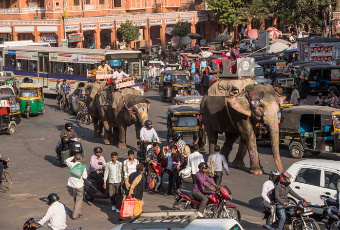 Les éléphants cotoient les voitures sur certaines routes d'Inde organiser un road-trip - code de la route
