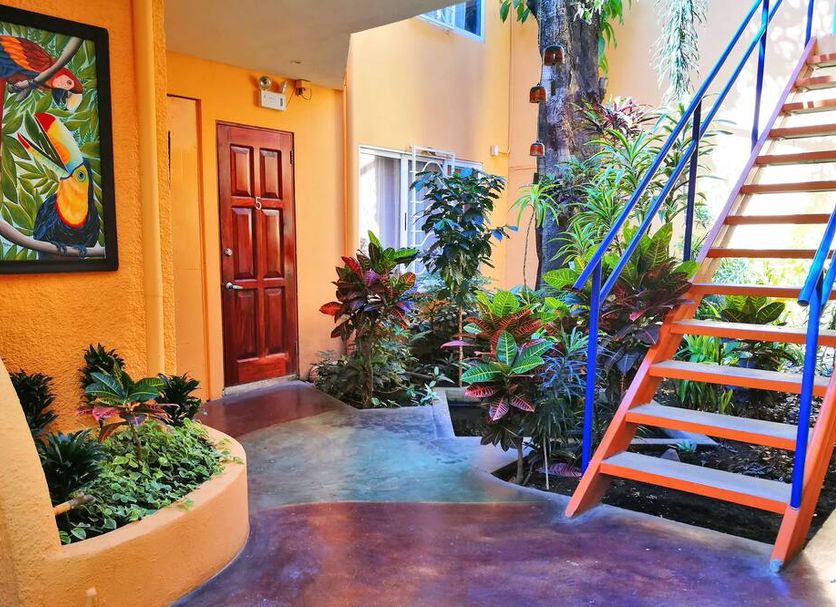 Escalier Photo