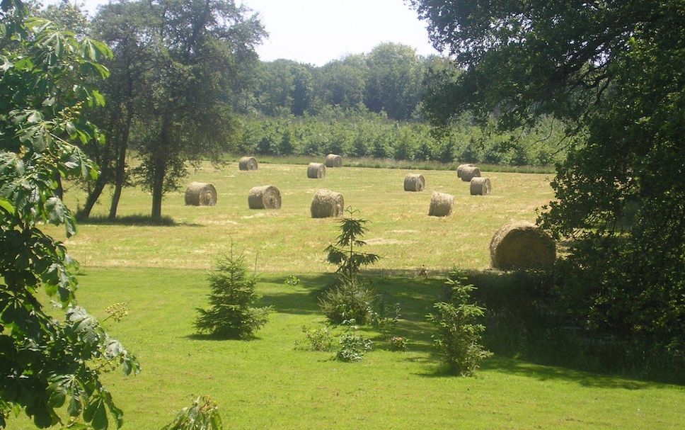 Extérieur Photo