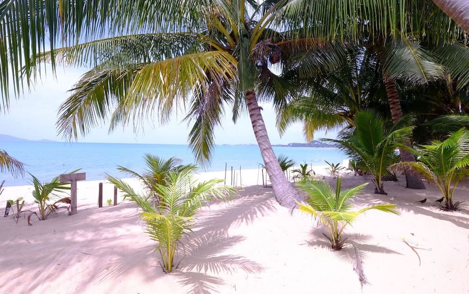 Plage Photo
