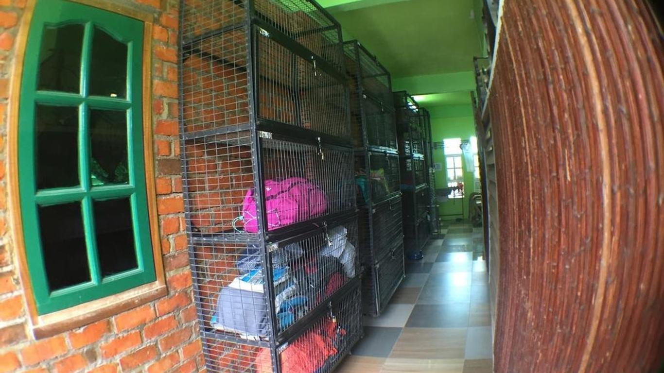 Photo principale