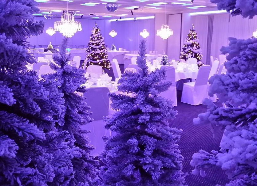 Salle de banquet Photo