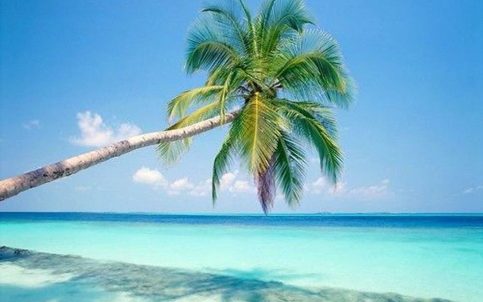Plage Photo