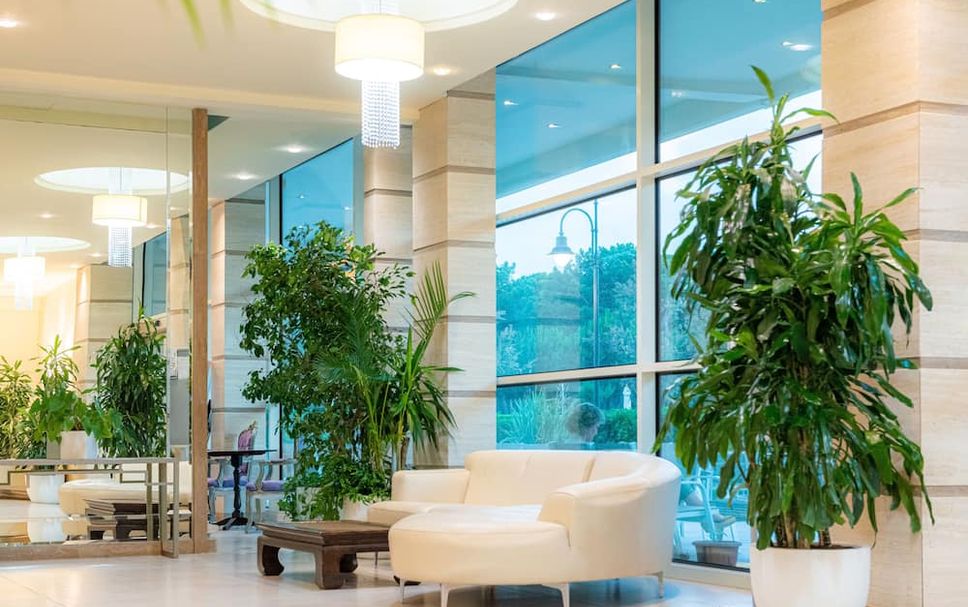 Hall d’entrée Photo