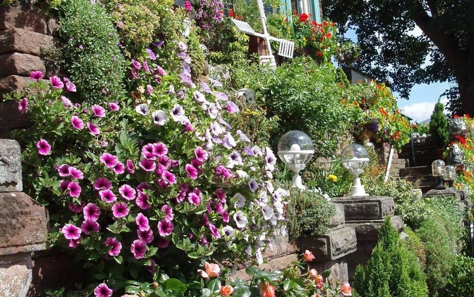 Extérieur Photo