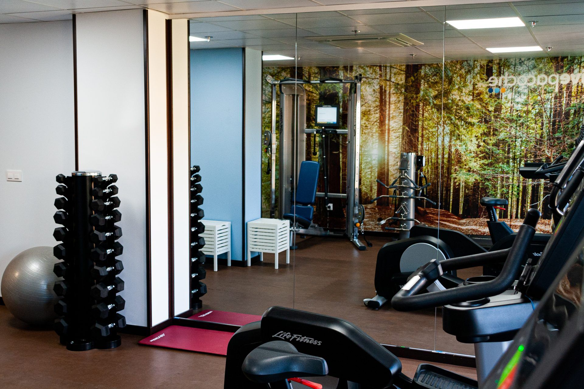 Salle de sport
