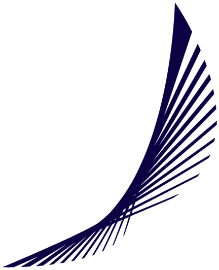 Blue Panorama Airlines